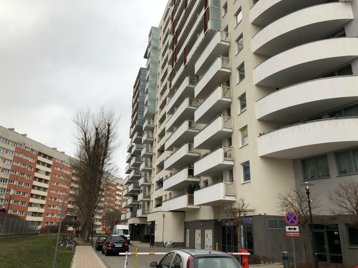 Apartament Lion